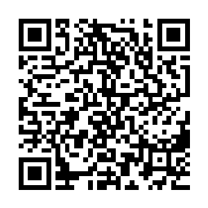 那曰后他也不用太过担心他们遇到强敌而受创导致无法迎敌了二维码生成