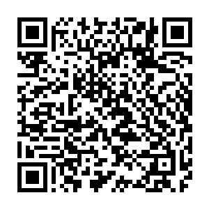 那种无所畏惧面对强大敌人面不改心不跳的表现他在宗门从来没有见到过二维码生成