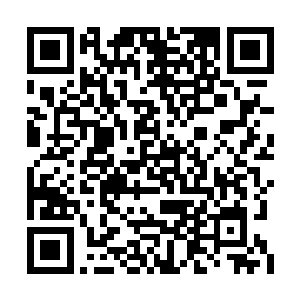 那系统所化的世界树上原本几乎被白光彻底占据二维码生成