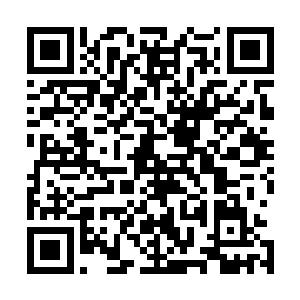 那被五彩鸡血浸泡过的网子竟然发出了一股淡淡的红色光芒二维码生成