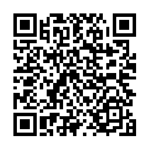 那还不如去捕杀一头很普通的化神期的妖兽还更划算一些二维码生成