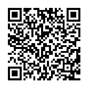 那非能舍得拿出一枚化能丹也是图树男是极为少见的树人混血二维码生成