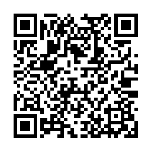 那黑鳖精此时正张开恐怖的巨口大声的愤怒咆哮着二维码生成