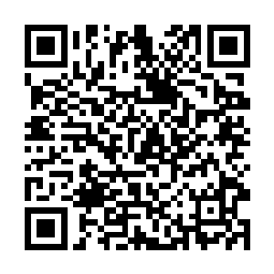 都不可能找到卧虎草的下落……这便是秦方的计划了二维码生成