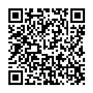 都会碾碎和崩断无数覆盖在他身上的大树和藤蔓二维码生成