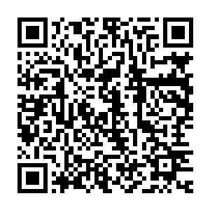 都要耗费非常恐怖的力量……杀王令中的矮人王气息也是所剩无几了二维码生成