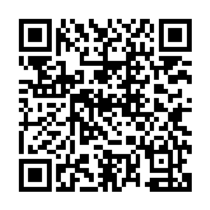 金蟾大帝的实力只怕连一个刚刚突破大帝境界的修炼者都不如二维码生成
