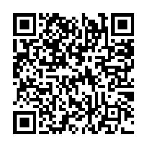闻秀峻和两位表弟瞧着闻春意面上的神情好看起来二维码生成