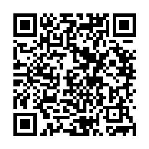 阮星的设计稿是大赛前一个星期这个样子临时改的二维码生成