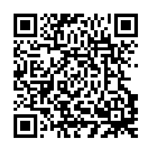 阿玛尼品牌的洛杉矶负责任先后四次主动上门和约瑟夫进行对话二维码生成