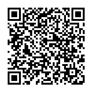 陆为民完全没有意识到自己和佟舒就这么偶然的在苍木服务区上一下卫生间二维码生成