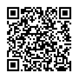 随即只见一只通体雪白的巨大的蟾蜍从水池中缓缓的走出二维码生成