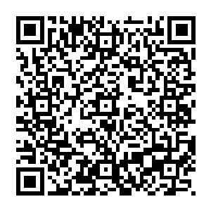随后天庭监察左使司马问天亲统大批人马将八十多位集体请辞的天街都统全部抓捕二维码生成