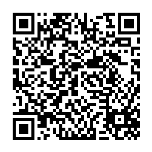 随后葵水之力和青木之力又如春雨润物般滋润滋养着老人那衰竭的器官二维码生成