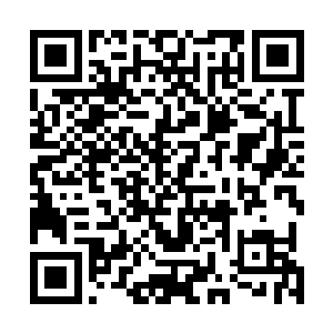 难不成是刚才杨开和剑阁的战斗余波将大阵冲击出了问题二维码生成