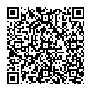 难以相信这个整天嘻嘻哈哈耍宝扯淡的小黄龙竟然说出这番许多读书人都不知道的道理二维码生成