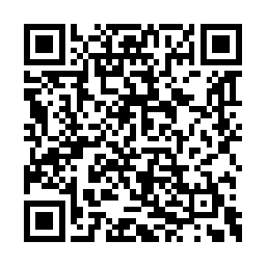 难得可以在杀戮游戏里遇上等级比我们低的对手二维码生成