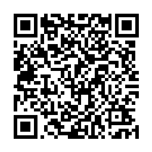 雷天和凤凰现在其实是相当于被困在了一座巨大的土山中间二维码生成