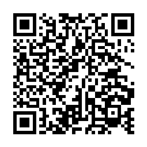 雷天就感觉到了一种非常久远的气息从大殿中传了过来二维码生成