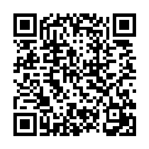 雷天带着南宫成他们来到离丑树还有一段距离的地方二维码生成