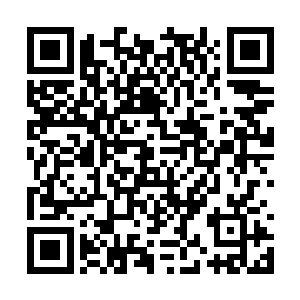 青叶强悍的属性和双刀浪人的特质展现的淋漓尽致二维码生成
