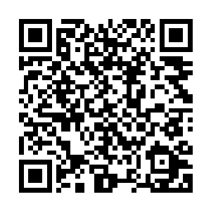青袍男子现今才知道张生所说给自己一次活命的机会是什么意思二维码生成