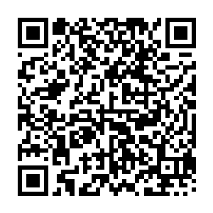 青龙的木系本源之力对于绝大多数的植物和木系生灵而言都是无比珍贵的补药二维码生成