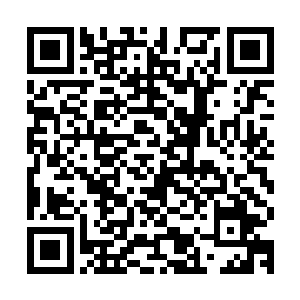 面如土色已经压根都没有办法将他此时的表情贴切的表现了出来二维码生成