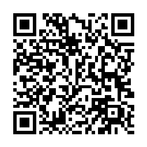 韩风估摸着二王子的血脉差不多又要提升一个档次了二维码生成