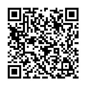 顺势拔了枪出来的徐堂然抬脚拨了拨李环堂的尸体二维码生成