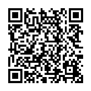 顺带着还帮叶芊芊给捋了捋那微微有点上卷的裙摆二维码生成