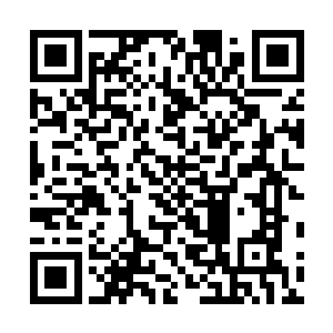 顿时只见空中的巨剑虚影跟四条黑龙狠狠的撞击到了一起二维码生成