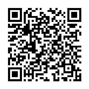 风水峰的另外两位大人也几位天极弟子也同样是在现场二维码生成