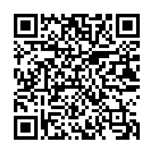 风波庄的弟子现在已经对楚晨产生了一种盲目的信任和崇拜二维码生成
