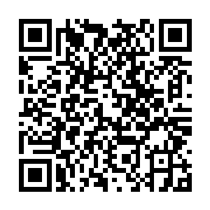 飞蝗的目光再次看向了天海皇朝和皇天门联盟的人二维码生成