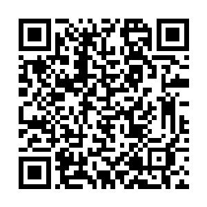 马文几乎也可以确认明斯克当初也是进入了荒野殿堂二维码生成