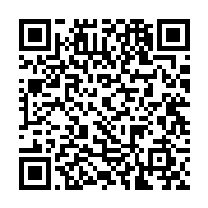 麦蒂和艾丽娜还有那些专家包括他们的学生全部到场二维码生成