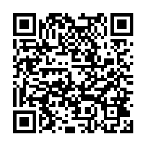 黄应红和巩玲玉是他之前指派去服侍穆凡君的随从二维码生成