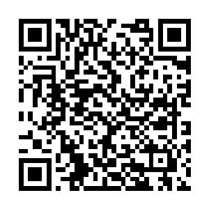 黑暗的脸上却仅仅只是浮现出一种淡淡的讥讽之色二维码生成