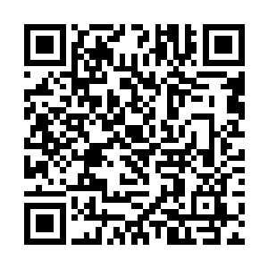 龙傲天在他们的心中的地位也是变得无比的尊崇起来二维码生成