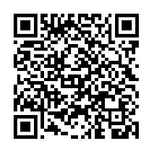 龙傲天的炼丹技术科斯绝对比他强了无数倍从刚才的丹二维码生成