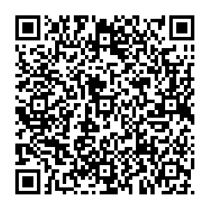 龙傲天直接转身就朝着远处飞去龙傲天也不是不想杀死他们主要是对方的实力也不是自己能够轻易的面对的二维码生成