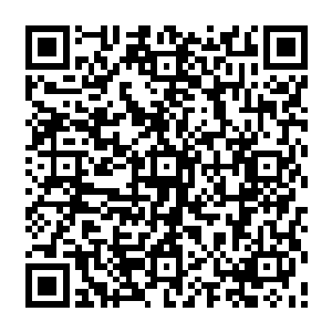 龙傲天眉心的天罚之眼内的雷罚之力可不像体内的混沌之力那样恢复起来那么简单二维码生成