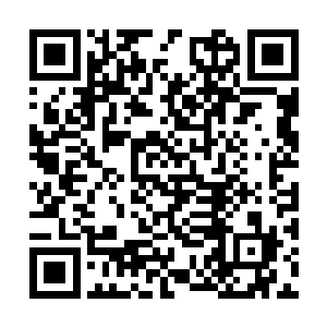 龙宇为何会忽然修为会大增这一点他就不得而知了二维码生成