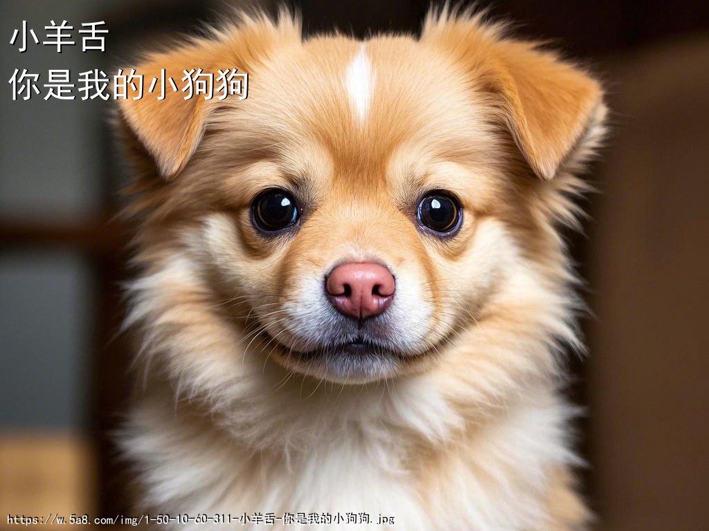 小羊舌你是我的小狗狗搞笑图片