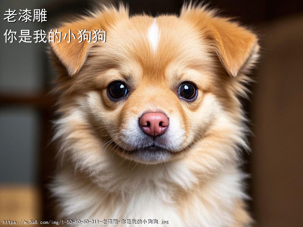 老漆雕你是我的小狗狗搞笑图片
