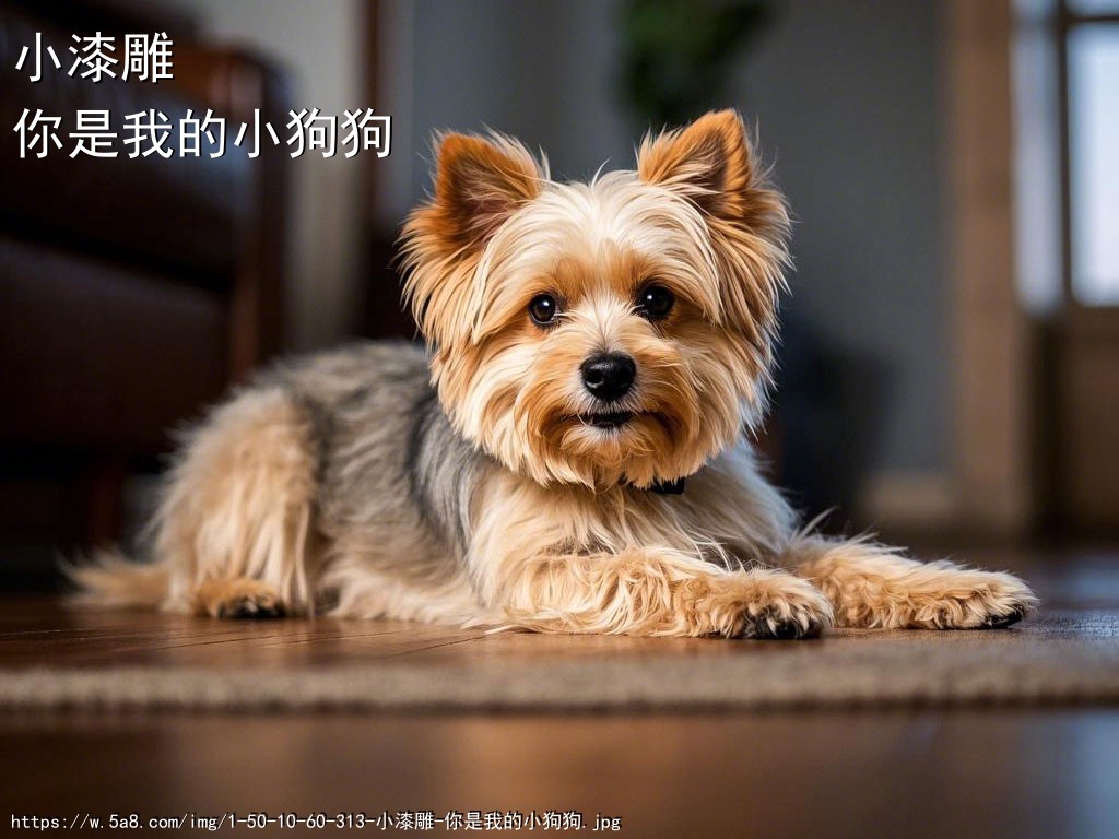 小漆雕你是我的小狗狗搞笑图片