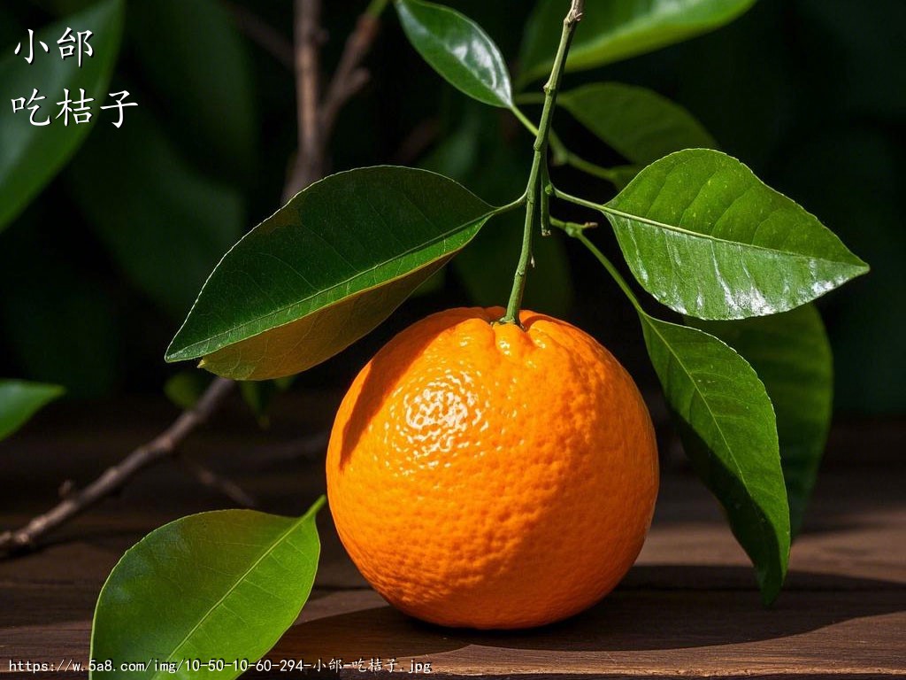小邰吃桔子搞笑图片