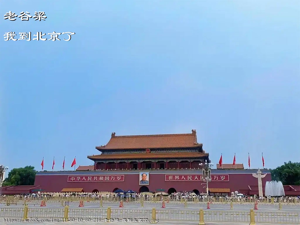 老谷梁我到北京了搞笑图片