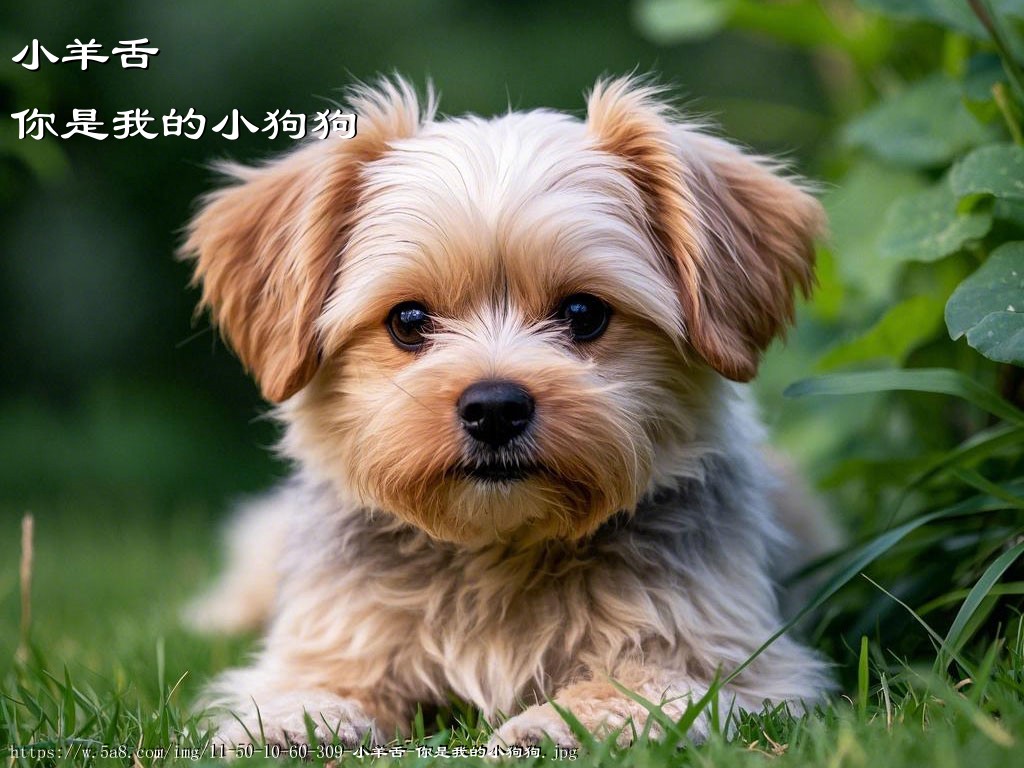 小羊舌你是我的小狗狗搞笑图片
